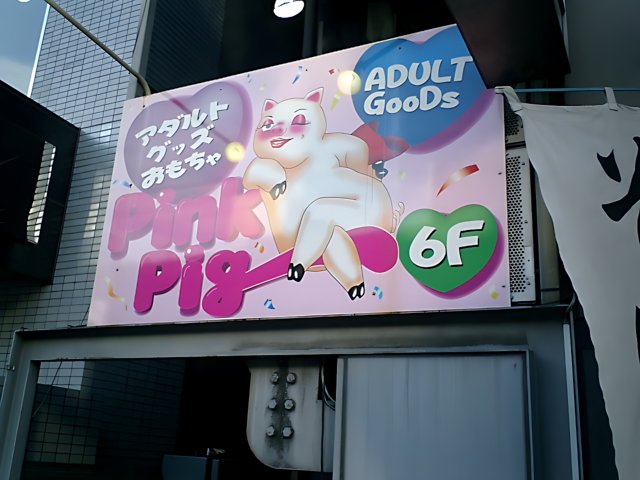 Adult Goods Store Sign in Shinjuku