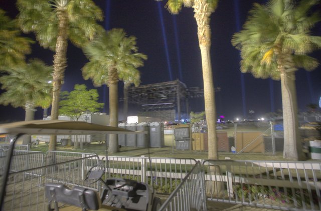 Nighttime Serenity at the Palm Tree Park