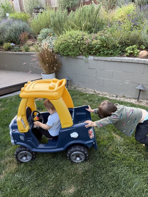 Backyard Adventures
