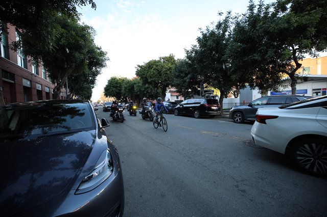 Urban Cyclist Navigating Tree-Lined City Street at Dusk
