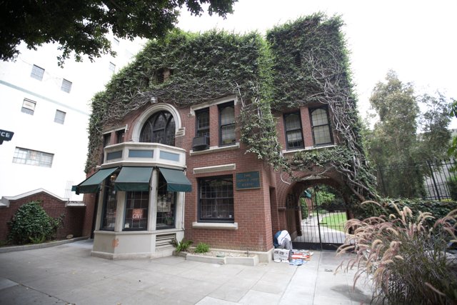 Ivy-Clad Building in the Heart of the City