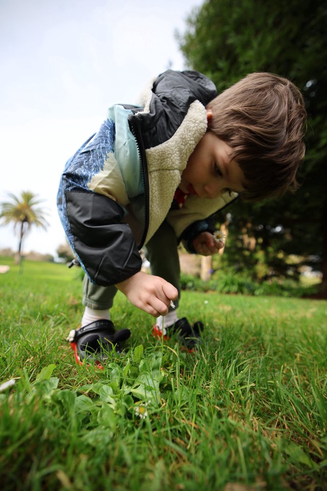 Young Explorer Discovering Nature in the Grass