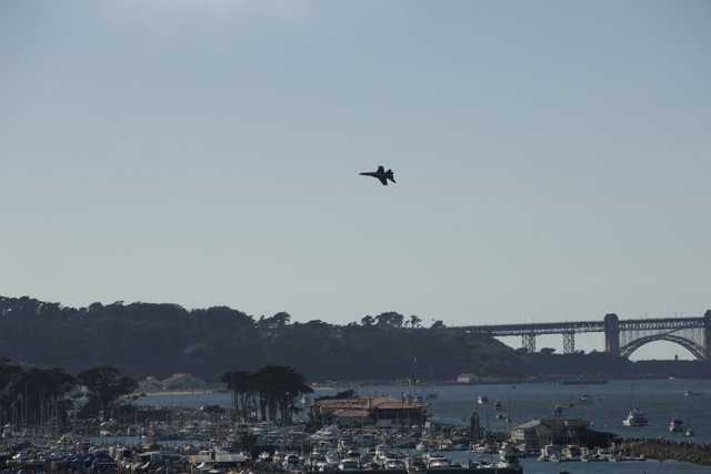 Majestic Flight Over San Francisco Waters