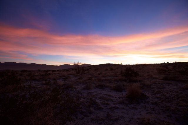 A Colorful Desert Sunset