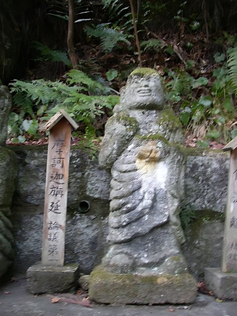 The Serenity of Buddha in the Forest