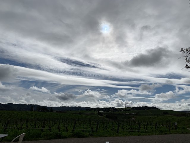 Clouds Dancing over Vineyards