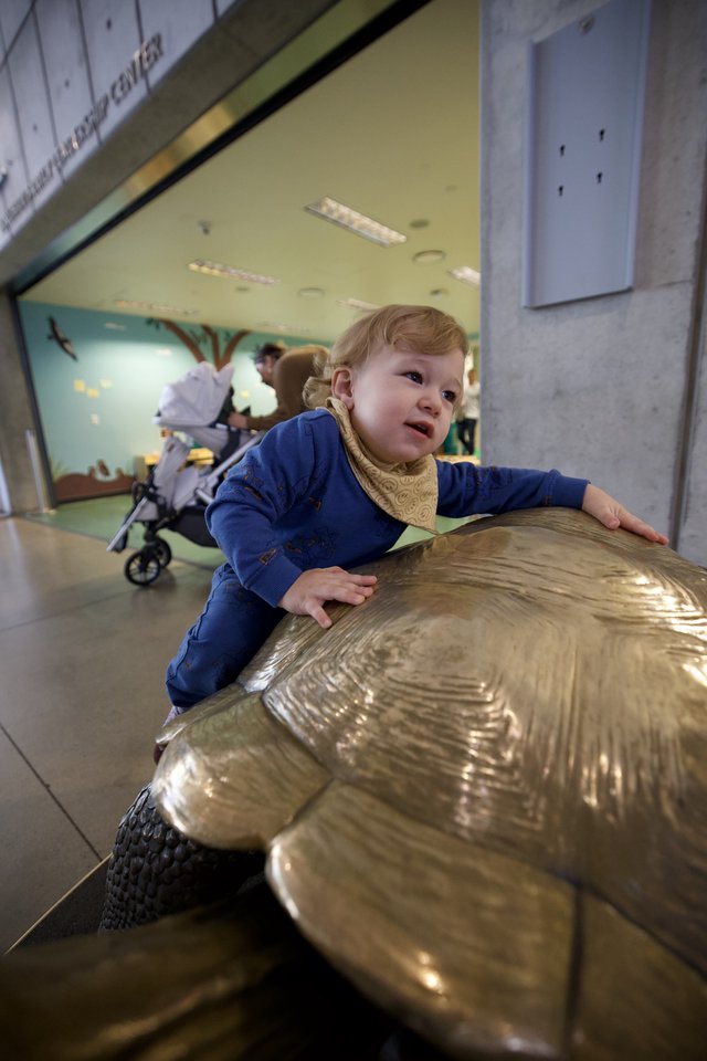 Toddler Exploring Golden Turtle Sculpture at Visitor Center