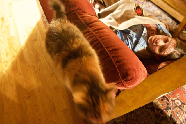 Cat in Motion Beside Resting Woman on Red Couch