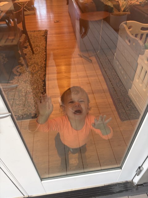 Through the Looking Glass