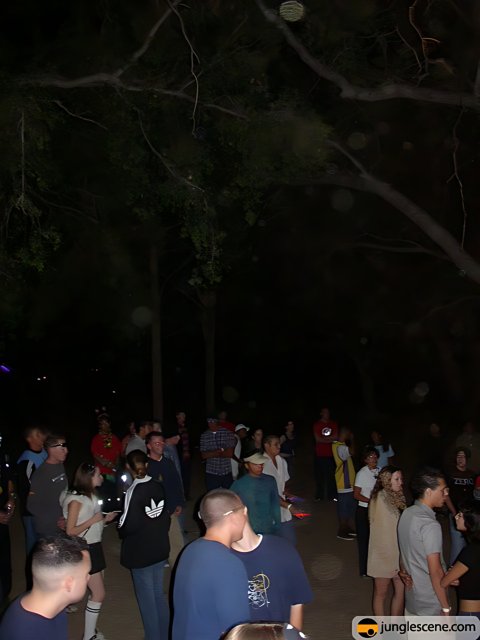 Nighttime Crowd