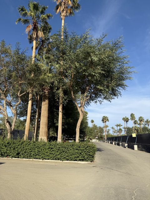 Urban Oasis