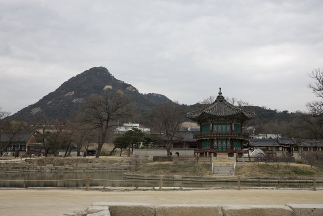 The Serenity of Korean Landscape: A Tranquil Afternoon in the Park