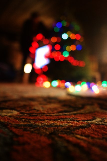 Blurry Delight: The Faint Glow of the Christmas Tree