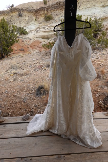 Desert Elegance: A Stunning Wedding Gown Against a Beautiful Backdrop