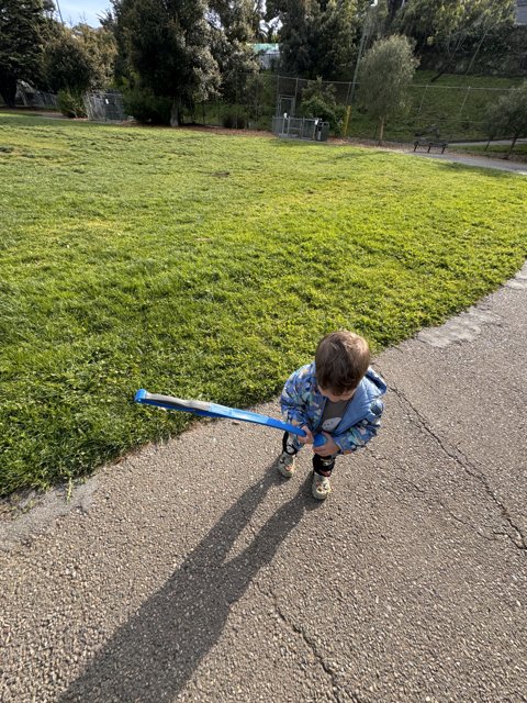 Playful Adventures in the Park