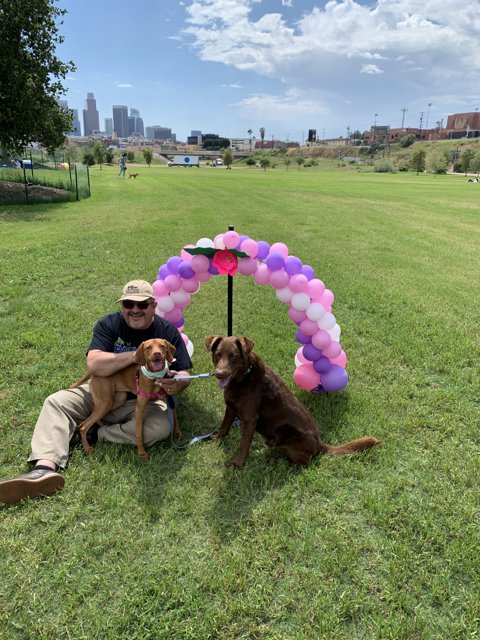 Balloons and Pups in the Park