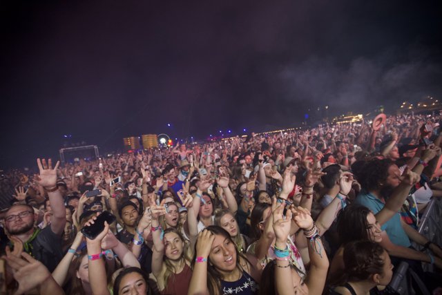 Coachella 2016's Electric Crowd