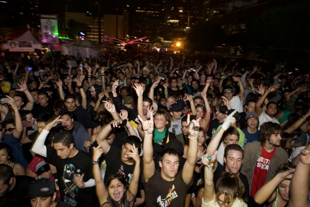 Nocturnal Crowd Goes Wild at Concert