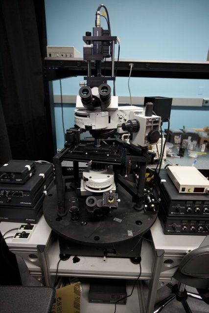 Microscope in the Lab