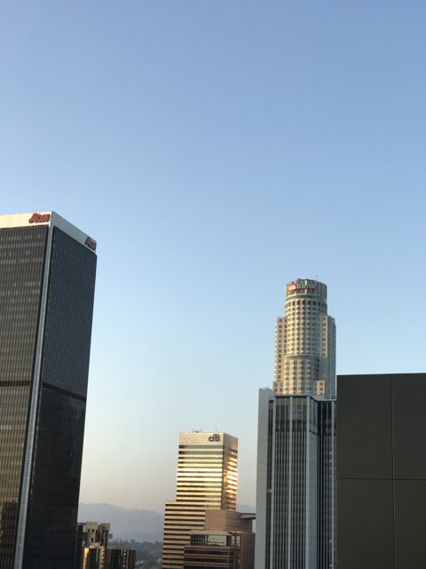Downtown LA's Skyline from the Rooftop