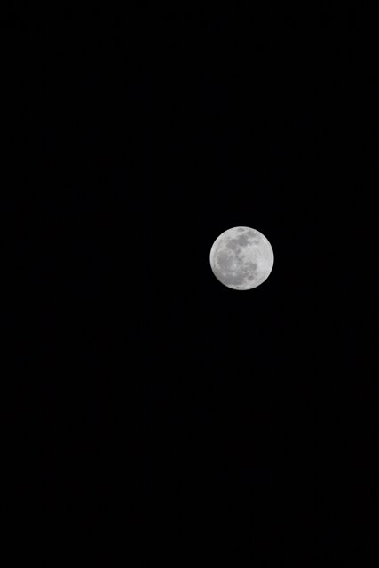 The Full Moon on a Winter Night