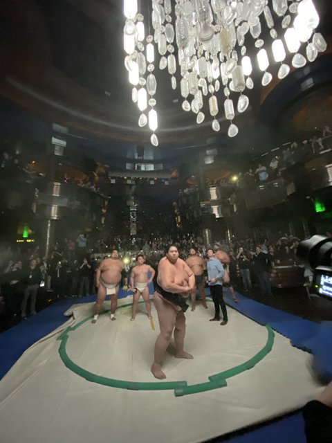 Sumo Wrestling beneath the Chandelier