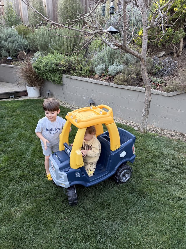 Brothers Playing in Toy Car in Backyard