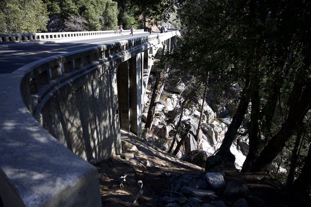 Historic Curved Bridge Spanning Rocky Gorge in Yosemite