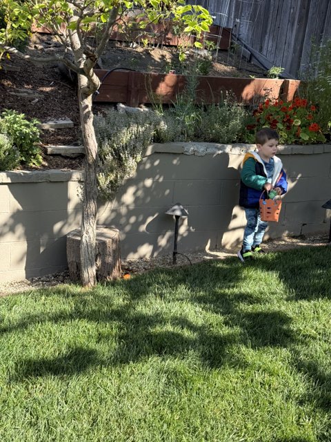 Spring Explorations in the Backyard