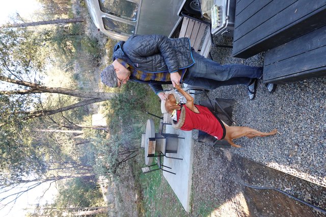 Man Feeding Dog at Campground Picnic Site