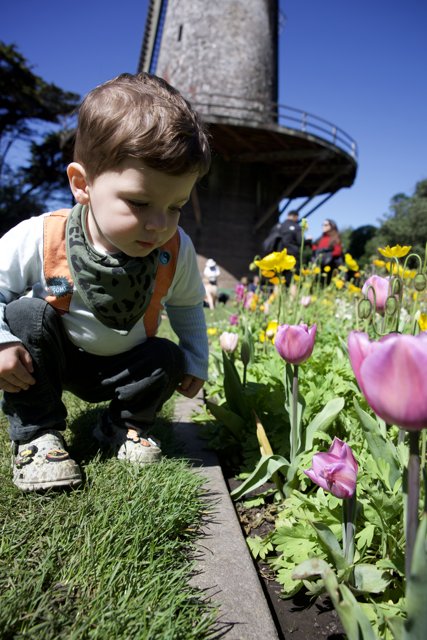 Discovery in Blossom: A Young Explorer in the Garden