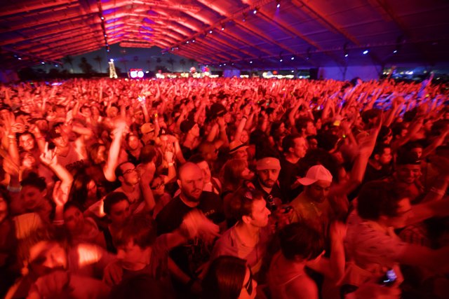 Electrifying Crowd at Coachella