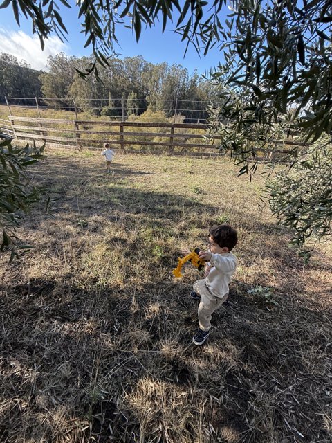 Exploring Nature's Playground