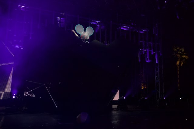 Mouse Head on Stage