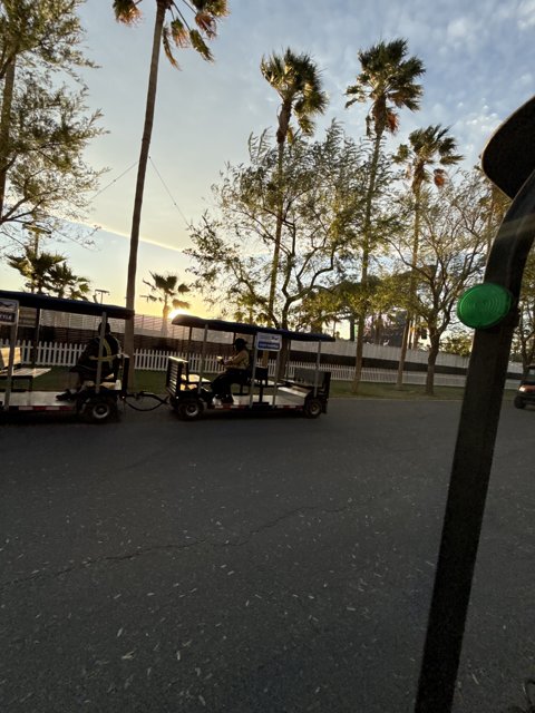 Sunset Stroll on Wheels