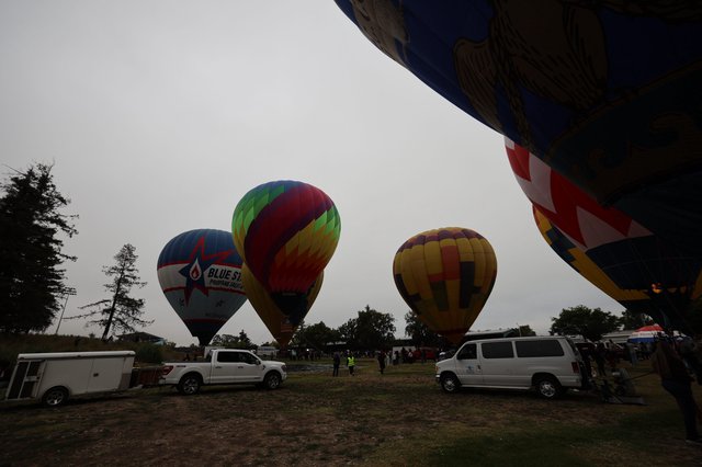 Hot Air Balloons Rise at Sonoma County Classic