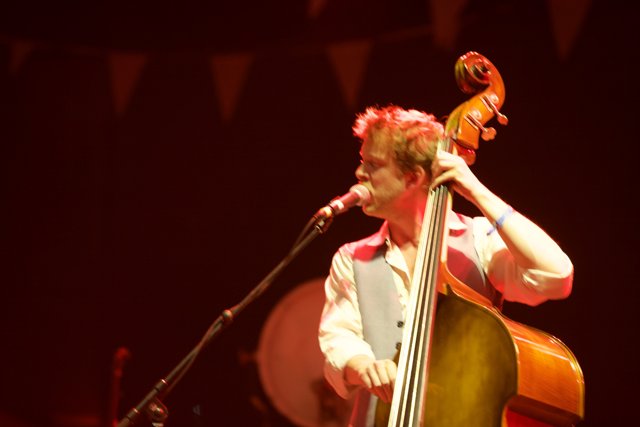 The Double Bassist Takes the Stage
