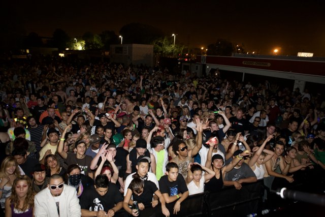 EDC 2007: Enthusiastic Crowd under the Night Sky