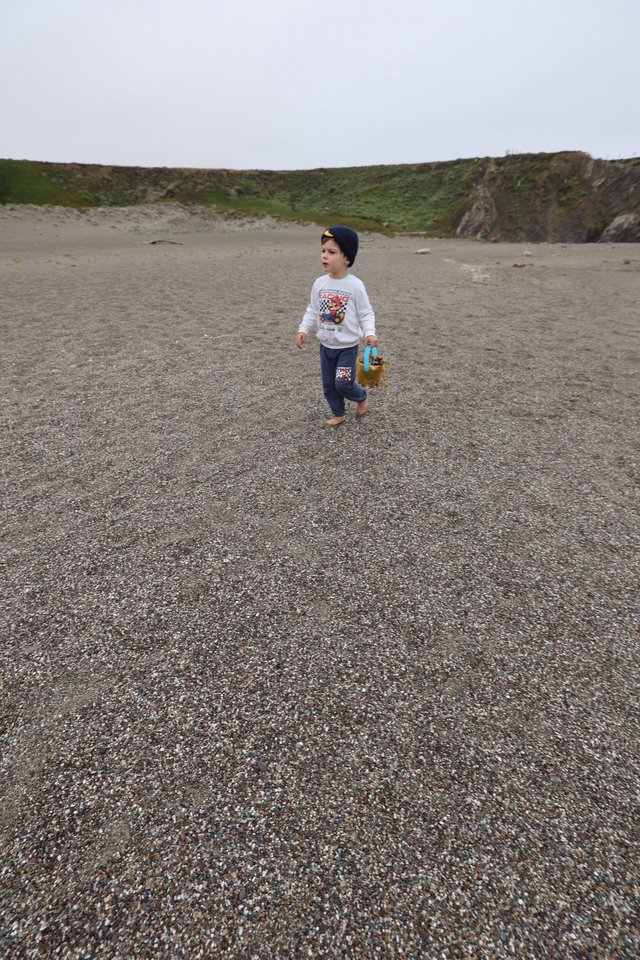 Young Explorer Roaming a Rugged Coastal Beach