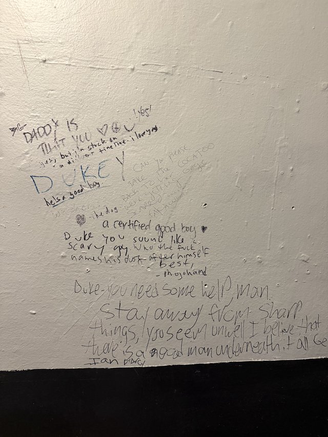 Handwritten Wall Messages in a Bathroom Stall