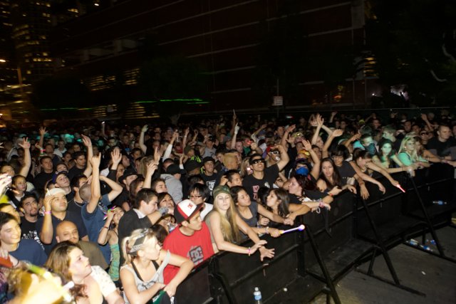 Nocturnal Crowd at Urban Concert