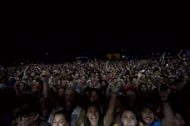 Crowd goes wild under Coachella's night sky