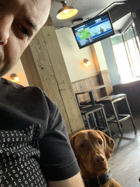 Man and Dog: A Comfortable Duo at the Bar