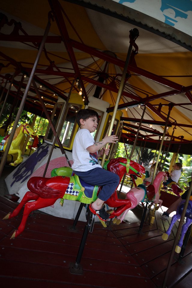 Child Riding Colorful Carousel Horse at Fantasyland