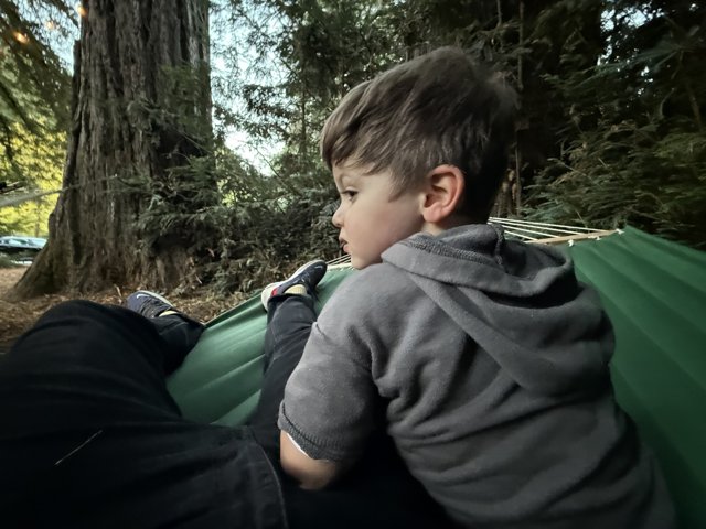 Tranquil Moments in the Forest
