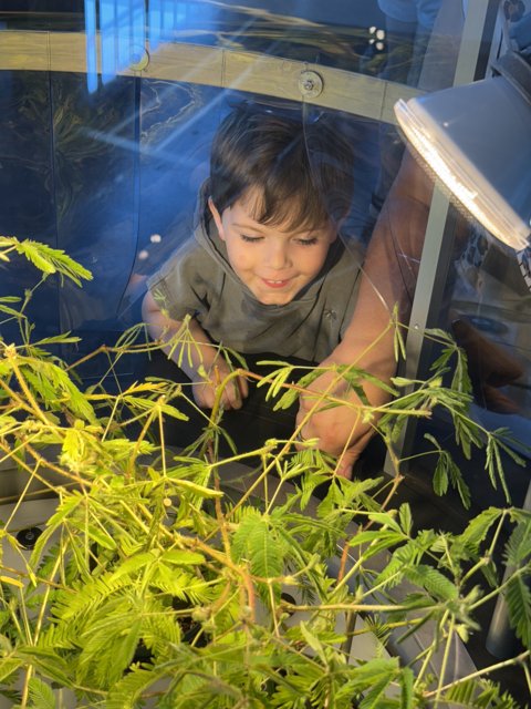 Curious Exploration