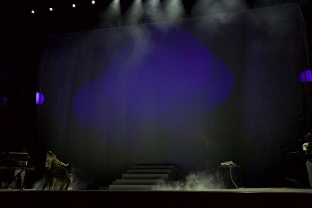 Spotlight on Stage with a Four-Legged Friend