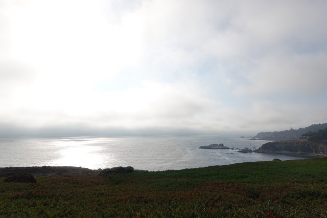 Misty Coastal Morning Along Pacific Shoreline