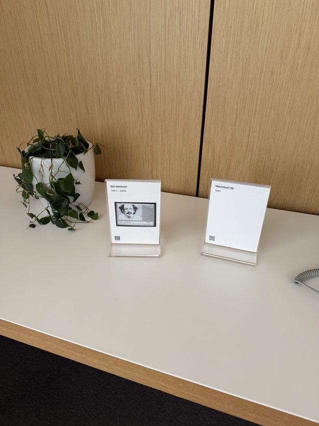 Memorial Cards on Office Desk with Plant