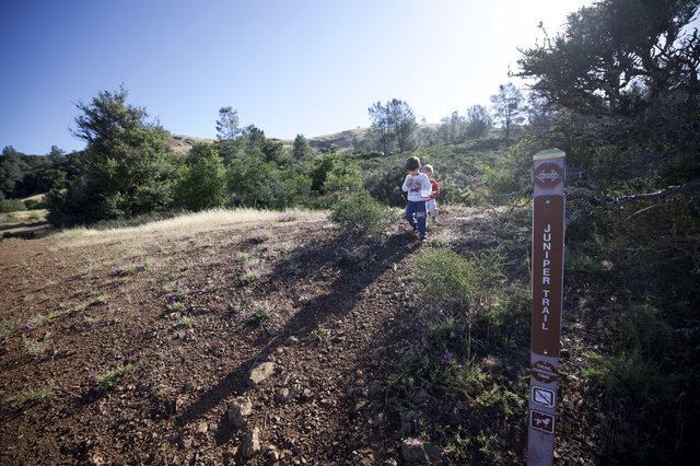 Young Hikers Exploring Juniper Trail on Mt. Diablo